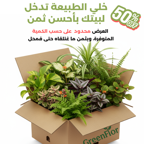 Pack GreenFlor 10 plantes
