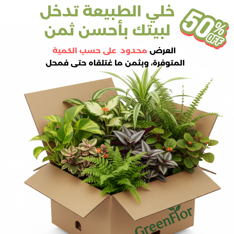 Pack GreenFlor 10 plantes